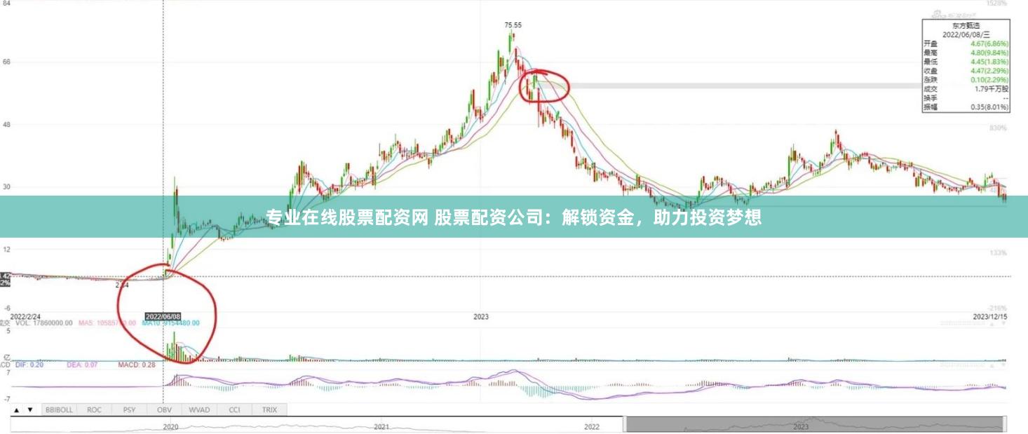 专业在线股票配资网 股票配资公司：解锁资金，助力投资梦想